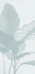 Papier peint feuillage moderne vert d'eau