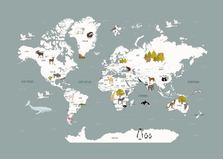 Papier peint Carte du monde en Francais enfant gris