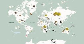 Papier peint Carte du monde en Francais enfant vert, XXL, tendance