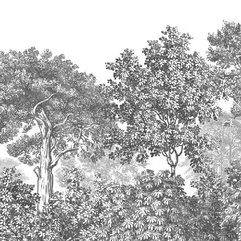 Papier peint paysage forêt gravure noir et blanc, XXL, tendance