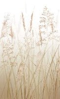 Carta da parati con fiori di campo di grano