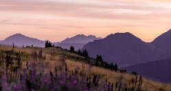 Papier peint restaurant massif du Giffre, XXL, tendance