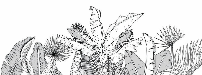Carta da parati panoramica con foglie botaniche in bianco e nero