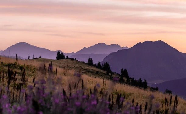 Papier peint restaurant massif du Giffre, XXL, tendance