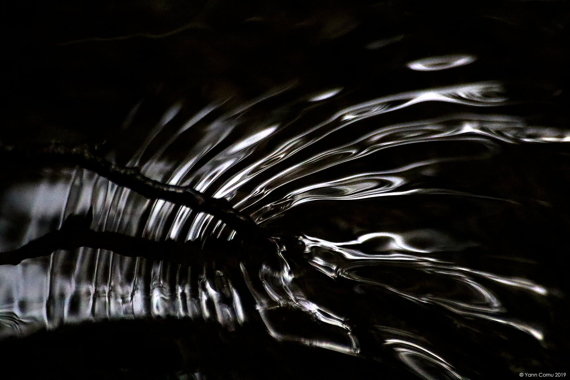 Carta da parati nel cuore dell'acqua