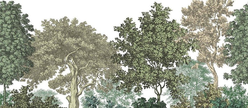 Carta da parati ristorante paesaggio foresta incisione