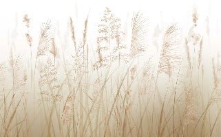 Carta da parati con fiori di campo di grano