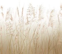 Carta da parati con fiori di campo di grano