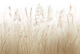 Carta da parati con fiori di campo di grano