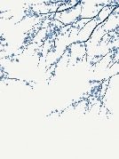 Papier peint panoramique fleur Sakura blanc