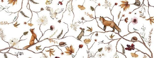 Sfondo dell'avventura nella foresta per bambini