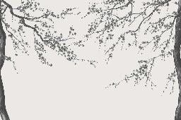 Sakura, carta da parati panoramica in bianco e nero