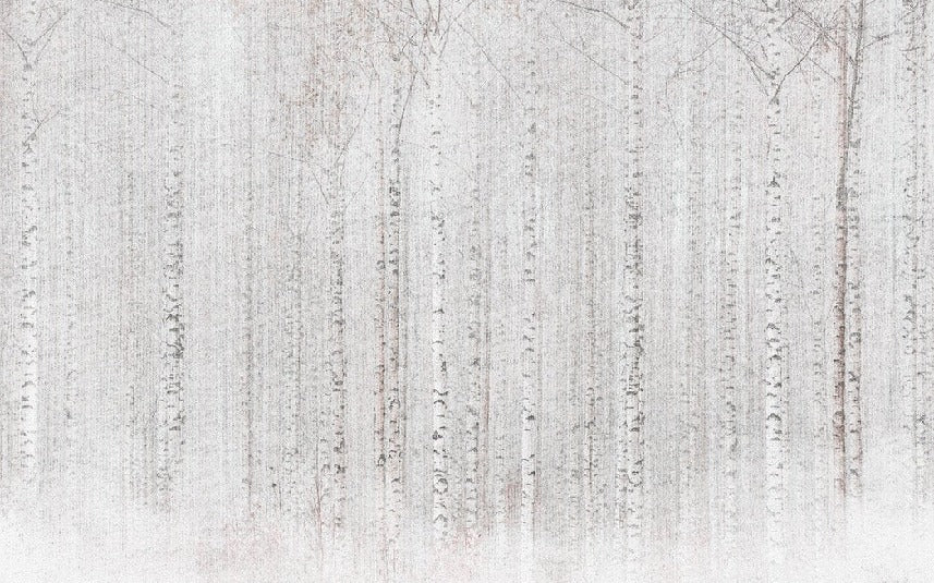 Avvolgente carta da parati della foresta di betulle