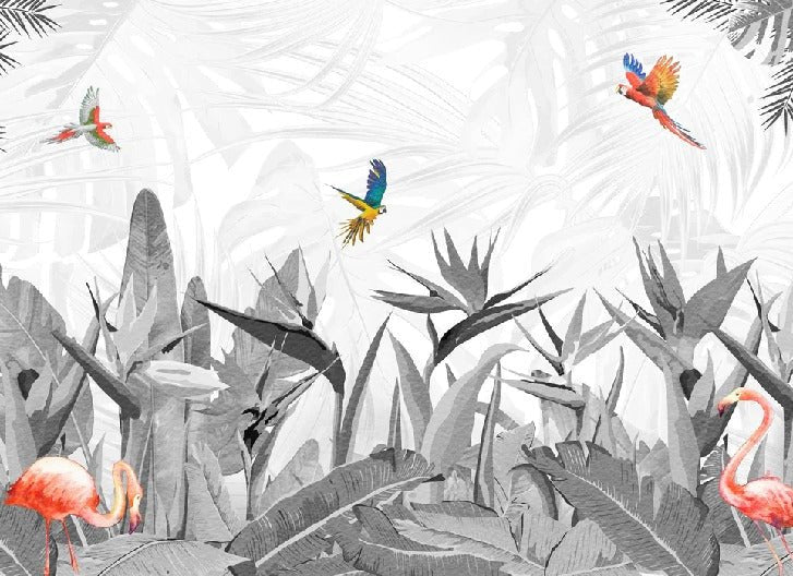 Papier peint noir et blanc oiseau du paradis, mural concept, tendance