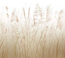 Carta da parati con fiori di campo di grano
