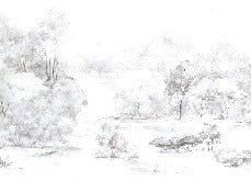 Carta da parati acquerello pineta