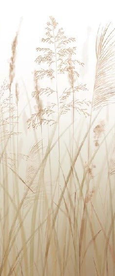Carta da parati con fiori di campo di grano