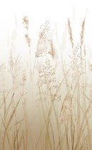 Carta da parati beige con fiori di campo di grano