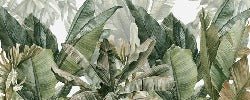 Carta da parati panoramica verde banana