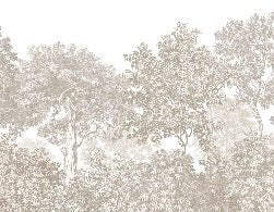 Carta da parati paesaggio foresta incisione beige