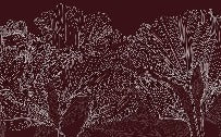 Papier peint panoramique valse des fleurs bordeaux, XXL, tendance