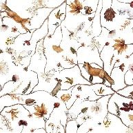 Sfondo dell'avventura nella foresta per bambini