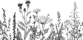 Carta da parati folk botanica in bianco e nero