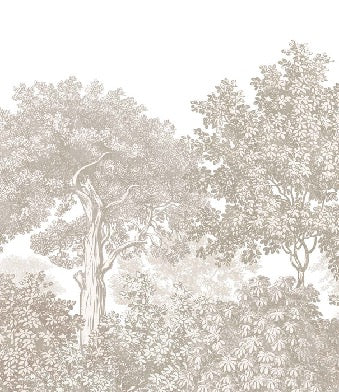 Carta da parati paesaggio foresta incisione beige