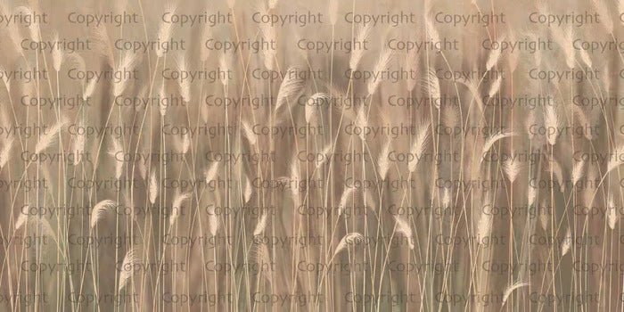 Papier peint panoramique herbes sauvages beige, XXL, tendance