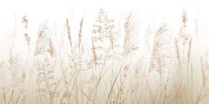 Carta da parati con fiori di campo di grano