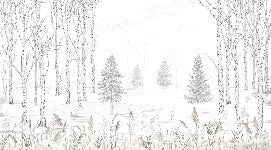 Papier peint noir et blanc douceur des bois, XXL, tendance