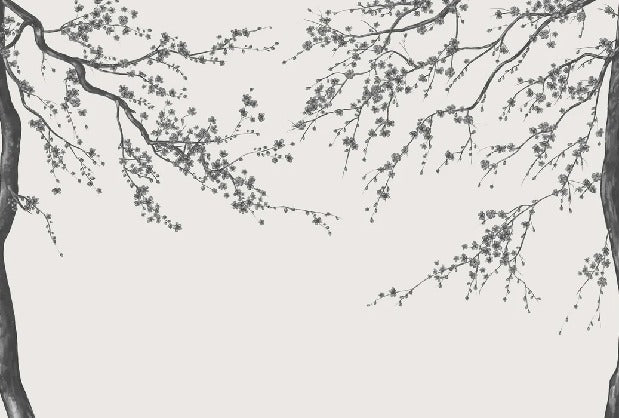 Papier peint panoramique fleur Sakura noir et blanc, XXL, tendance