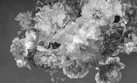Carta da parati con fiori di peonia in bianco e nero