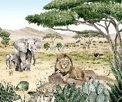 Carta da parati della savana segreta per bambini