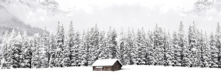 Carta da parati panoramica per chalet di montagna
