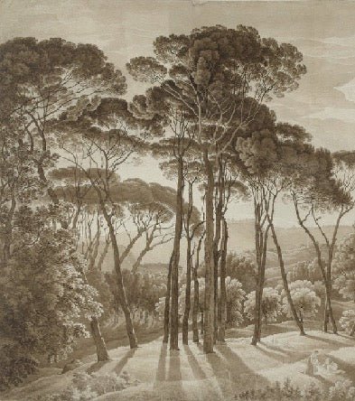 Papier peint panoramique paysage italien ambré, XXL, tendance