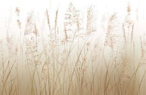 Carta da parati con fiori di campo di grano