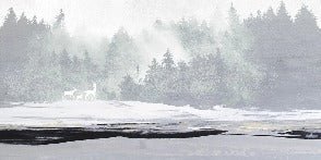 Carta da parati con foresta nebbiosa e cervi