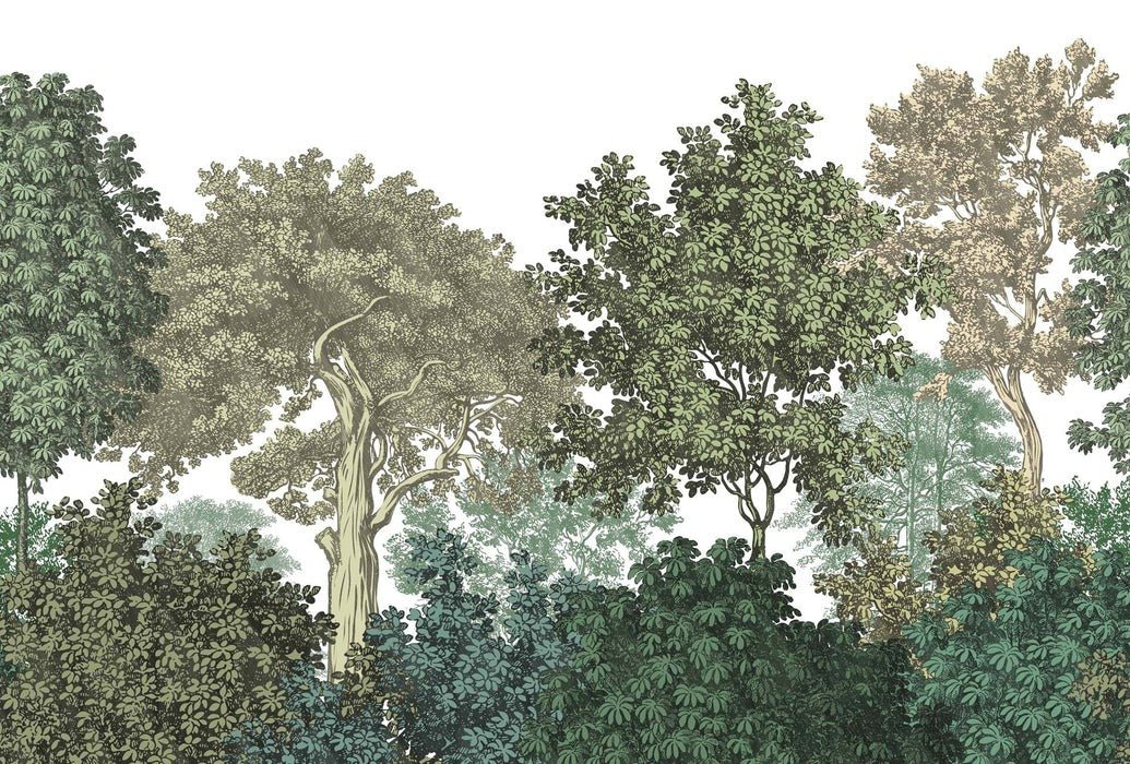Carta da parati ristorante paesaggio foresta incisione