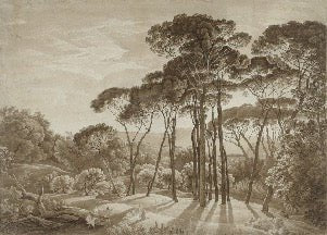 Carta da parati panoramica con paesaggio italiano ambrato