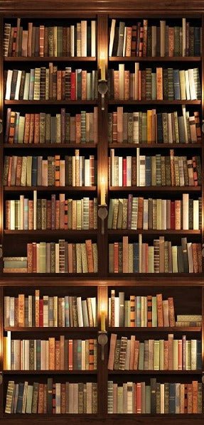 Carta da parati trompe l'oeil Authentique Bibliothèque