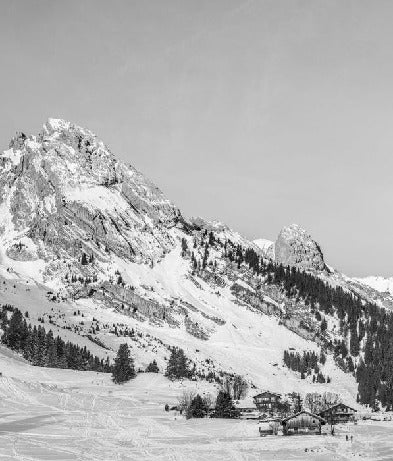 Carta da parati panoramica per chalet alpino