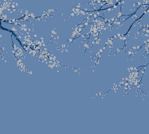 Carta da parati panoramica con fiori blu Sakura