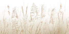 Carta da parati con fiori di campo di grano