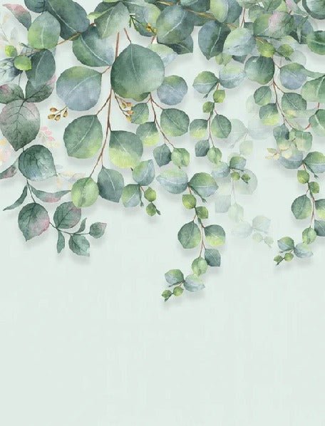 Carta da parati della natura della pianta di eucalipto