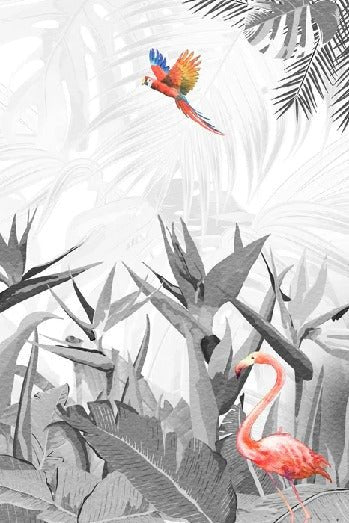 Papier peint noir et blanc oiseau du paradis, XXL, tendance