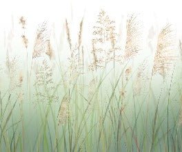 Carta da parati verde con fiori di campo di grano