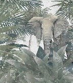 Carta da parati Amazon Elephant