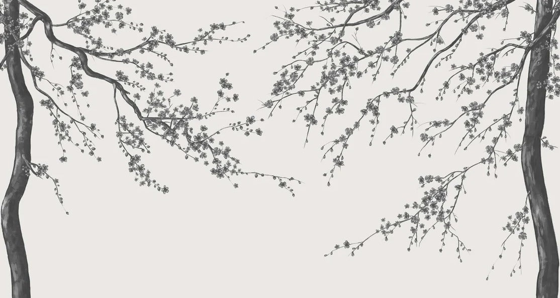 Sakura, carta da parati panoramica in bianco e nero