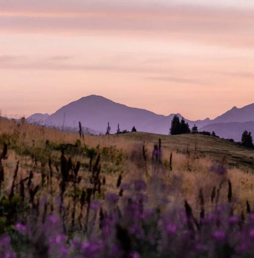 Papier peint restaurant massif du Giffre, XXL, tendance